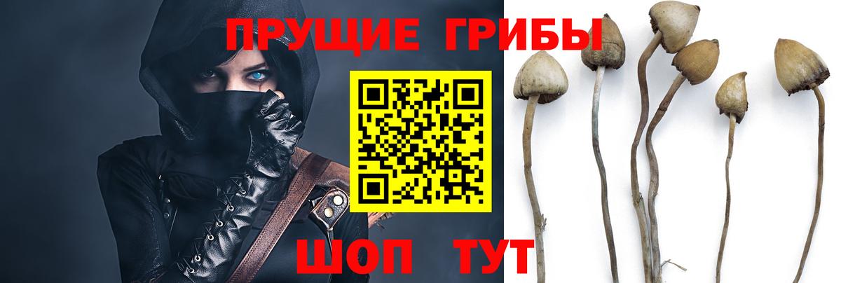 Псилоцибиновые грибы прущие грибы Пыть-Ях